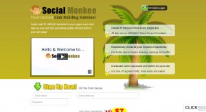 Social Monkee Review – Build Link or Kill Rank?
